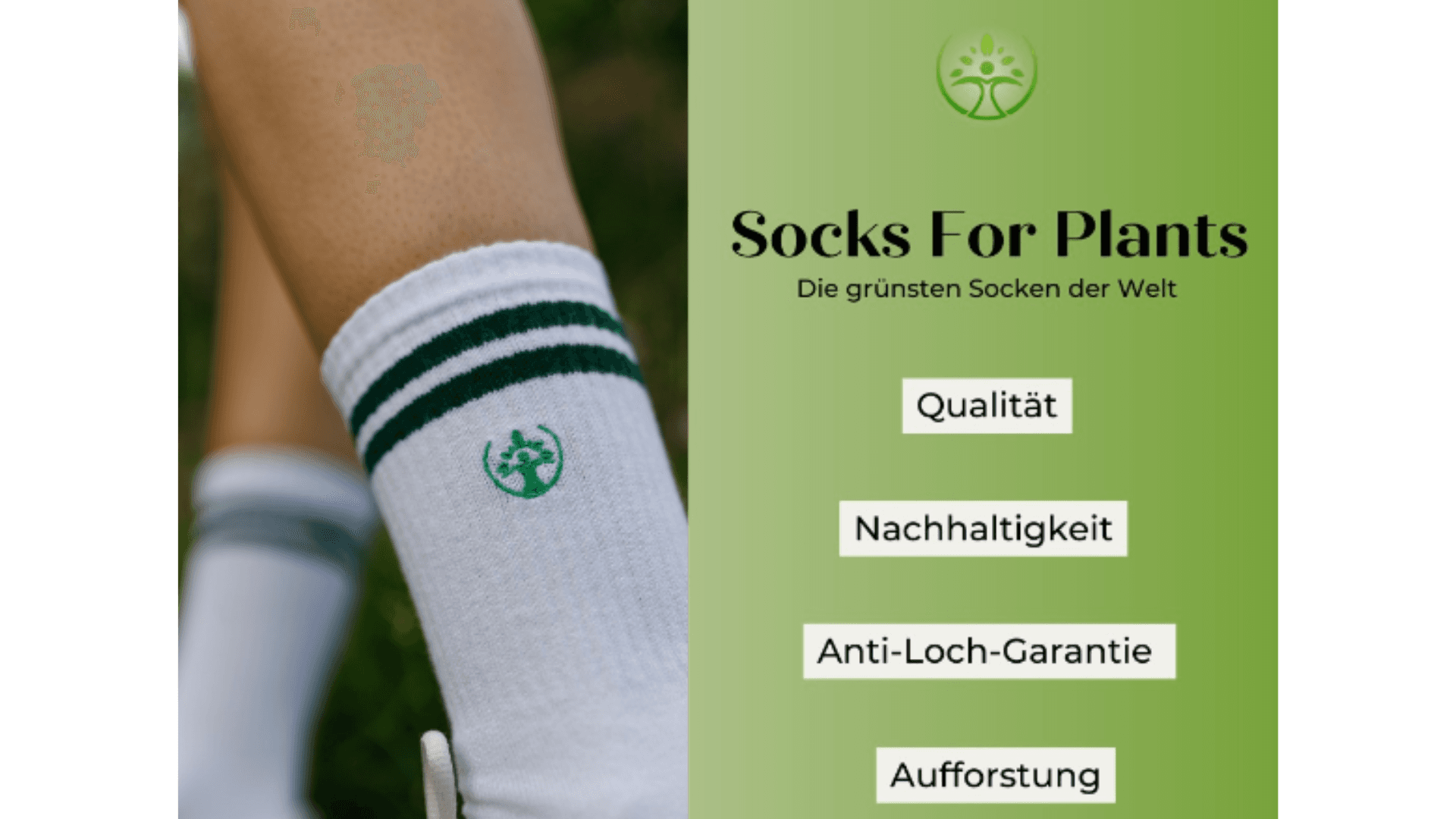 Interview: Was macht das Unternehmen Socks For Plants?