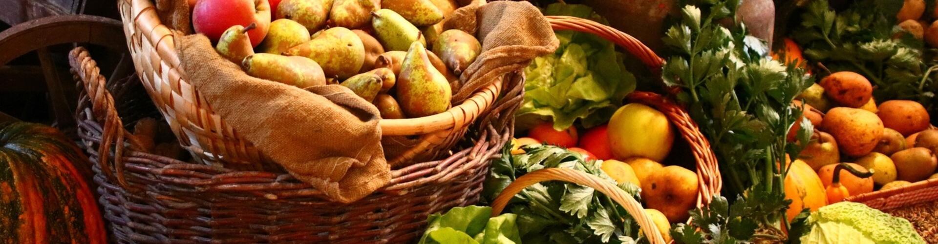 Direktvermarktung in der Landwirtschaft: Schritt für Schritt zum eigenen Laden auf agrajo.com