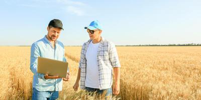 Interview mit einem Verkaufsberater in der Landwirtschaft zu seinen Aufgaben