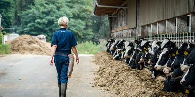 Interview: Das macht ein Repromanager - Arbeiten in der Milchviehbranche