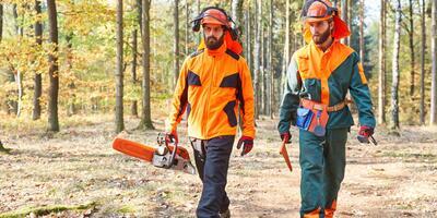 Was macht ein Forstwirt: Forstwirte in Schutzausrüstung im Wald