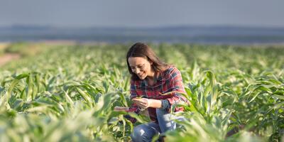 Ausbildungsverträge: mehr Landwirtinnen in der grünen Branche