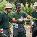 Lehrlinge (m/w/d) Verfahrenstechnik für die Getreidewirtschaft (Verkürzte Lehre für Absolventen einer Landwirtschaftsschule)