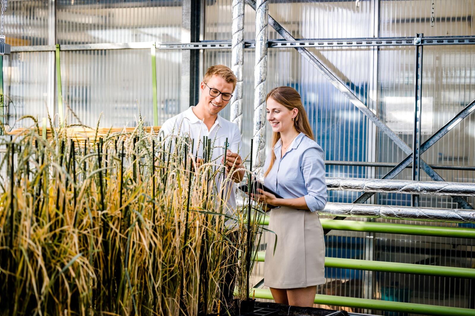 Produktionsmitarbeiter (m/w/d)