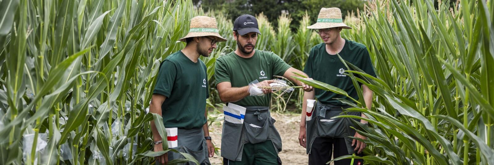 Sortenberater (m/w/d) Oberösterreich, Burgenland, Niederösterreich