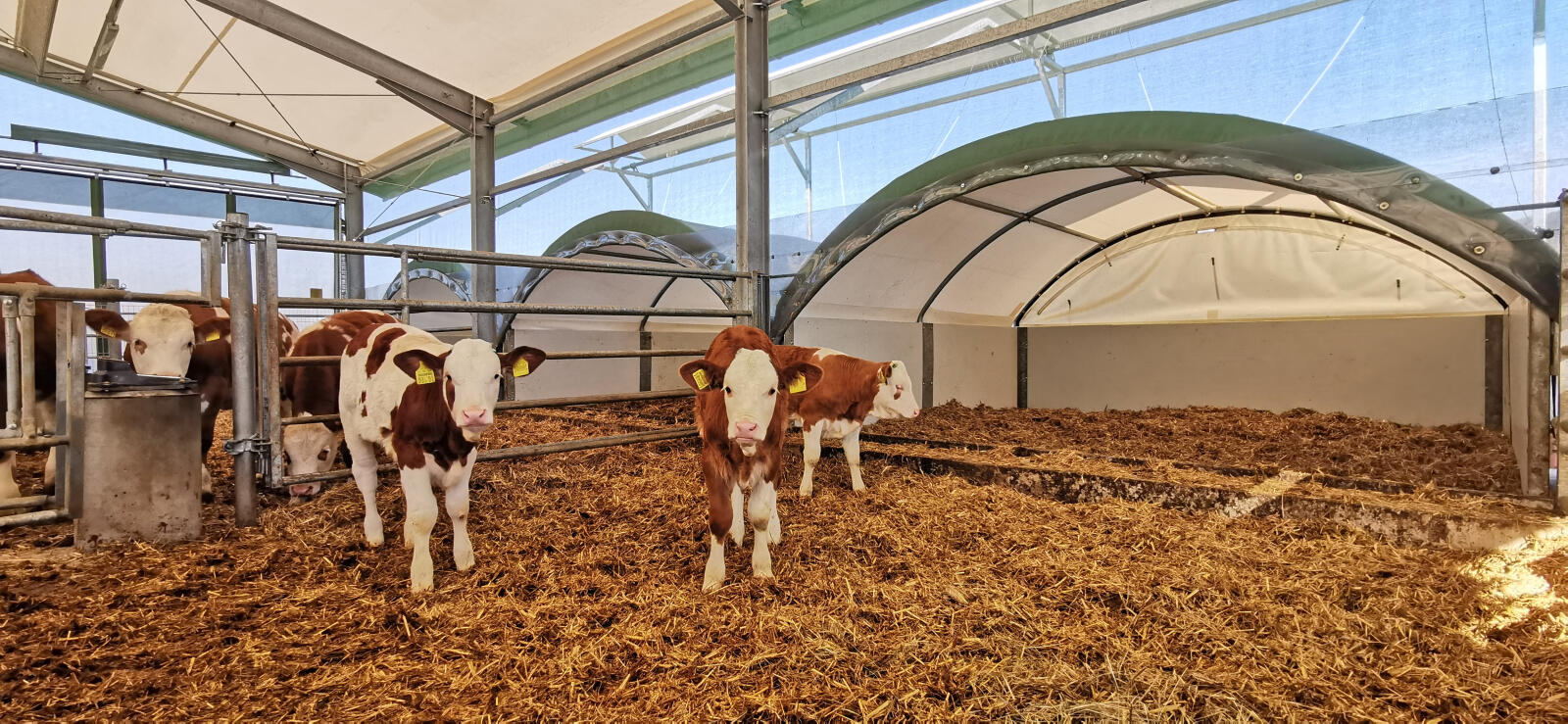 Außendienst Fachberater (m/w/d)