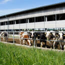 Außendienst Fachberater (m/w/d)