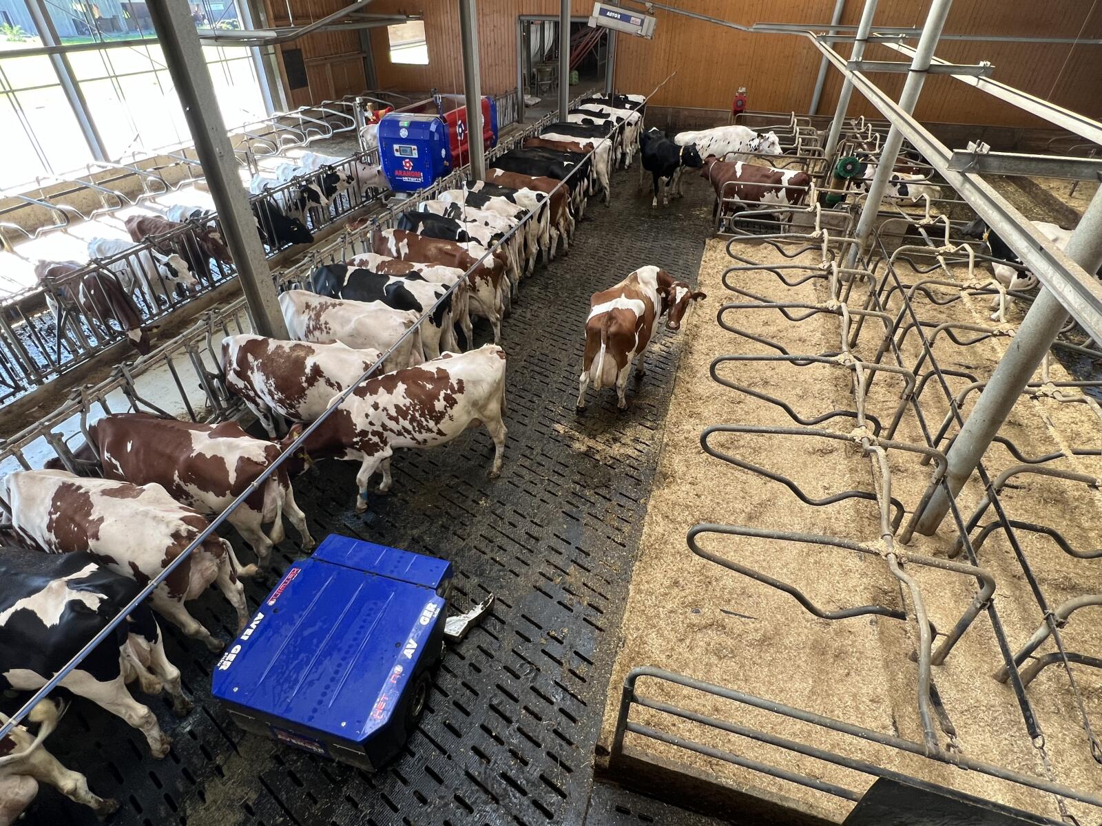 Gebietsverkaufsleiter (m/w/d) - Region Bayern für Fütterungsroboter, Einstreuroboter, Mistsammelroboter