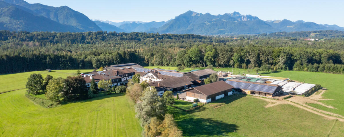 Landwirt / Meister / Techniker (m/w/d)