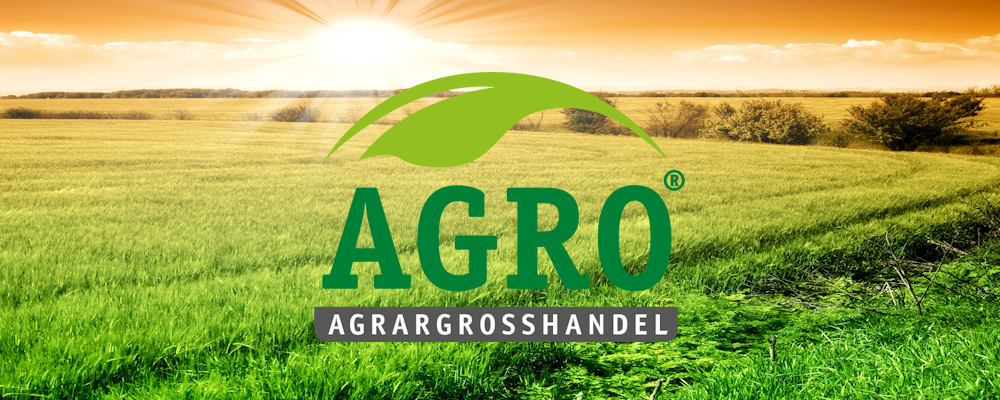Marketing- und Vertriebsmitarbeiter*in (m/w/d)