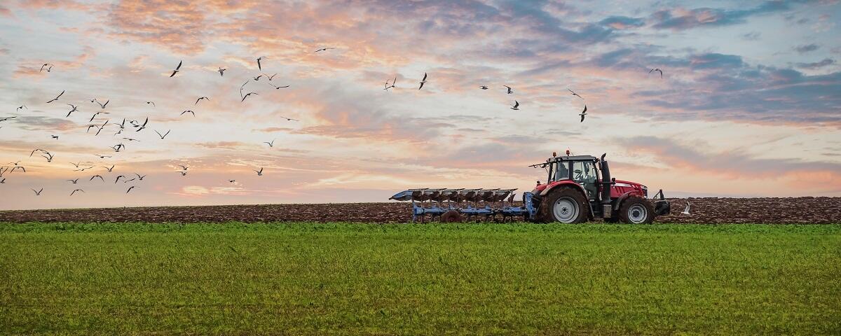 Leiter/in (m/w/d) Geschäftsbereich 3 Landwirtschaft
