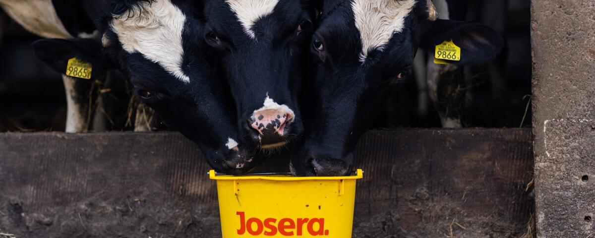 Private Label Manager* (m/w/d) Rind/Kalb/Schwein