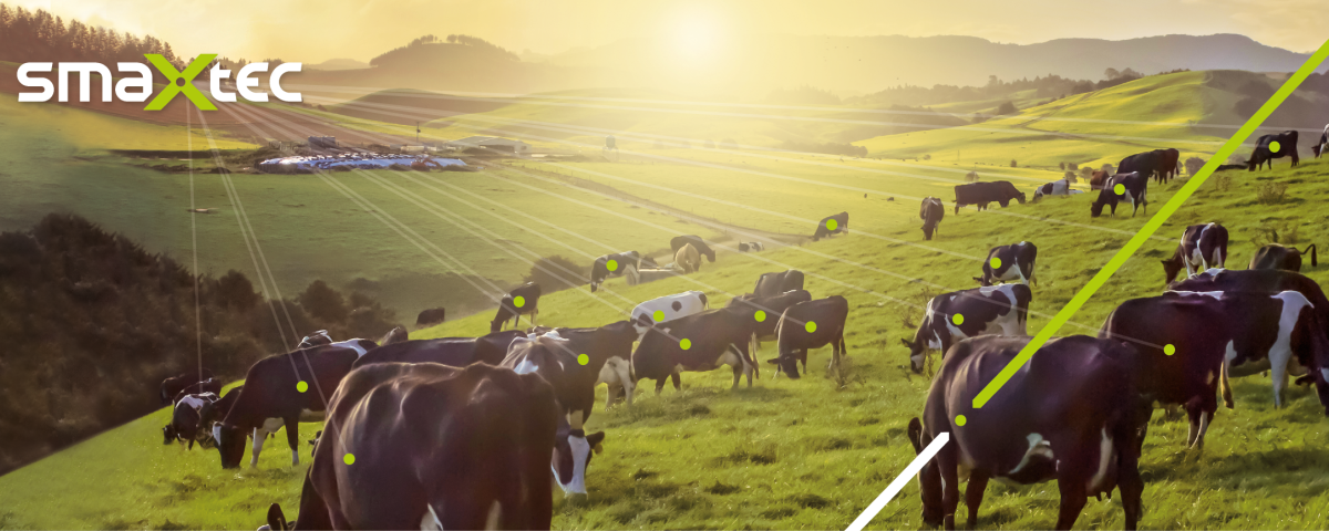 Kundenberater (m/w/d)