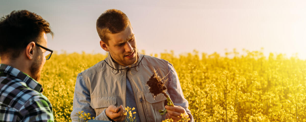 Agrarwissenschaftler (m/w/d) als Spezialberater Thüringen/Sachsen im Vertriebsaußendienst