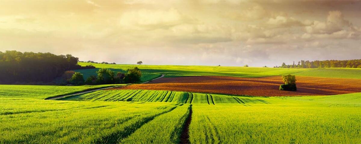 Landwirt / Fachkraft für Agrarservice / Maschinenführer / Quereinsteiger (m/w/d) Agrar