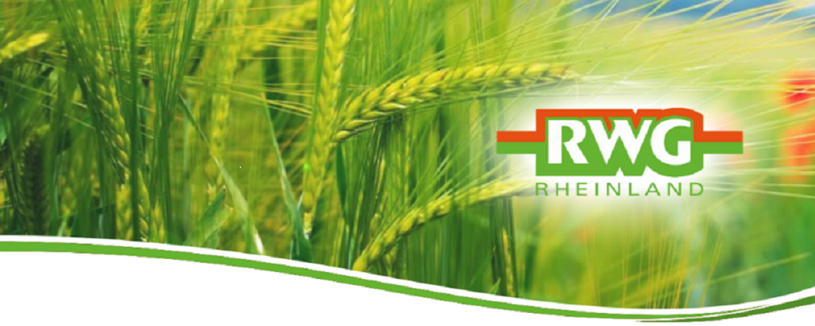 Infrastrukturverantwortlicher / Infrastructure Specialist (m/w/d)