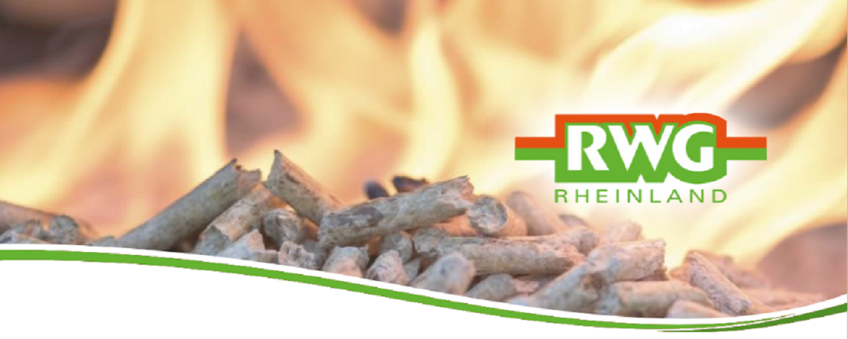 Mitarbeiter (m/w/d) im Vertrieb Energie