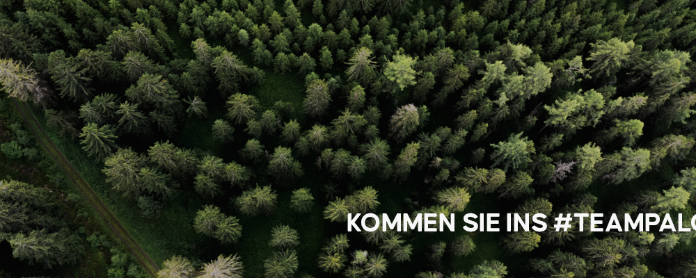 Vertriebsmitarbeiter (m/w/d) im Außendienst