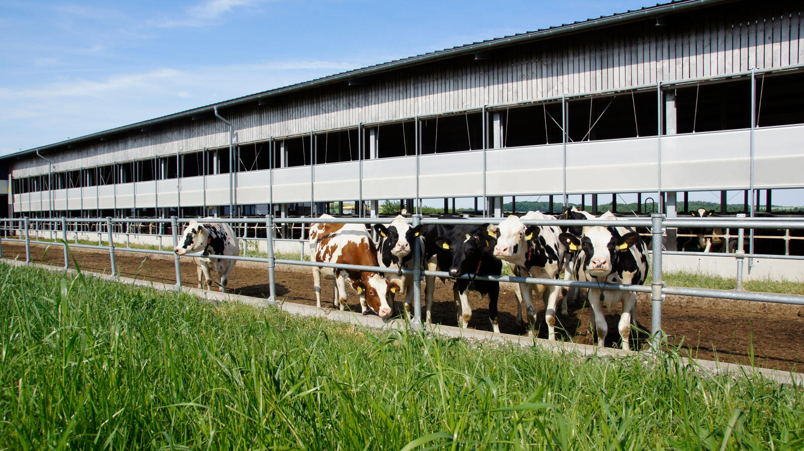 Außendienst Fachberater (m/w/d)