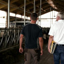 Außendienst Fachberater (m/w/d)