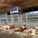 Gebietsverkaufsleiter (m/w/d) - Region Bayern für Fütterungsroboter, Einstreuroboter, Mistsammelroboter