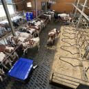 Gebietsverkaufsleiter (m/w/d) - Region Bayern für Fütterungsroboter, Einstreuroboter, Mistsammelroboter