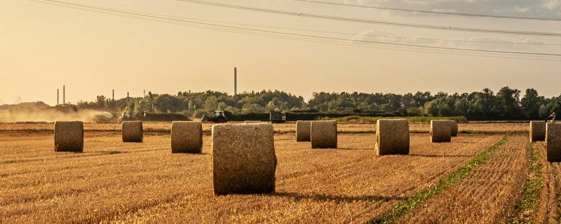 Key Account Manager (m/w/d)