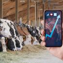 Verkaufsberater Außendienst im Bereich Rinderzucht (m/w/d)