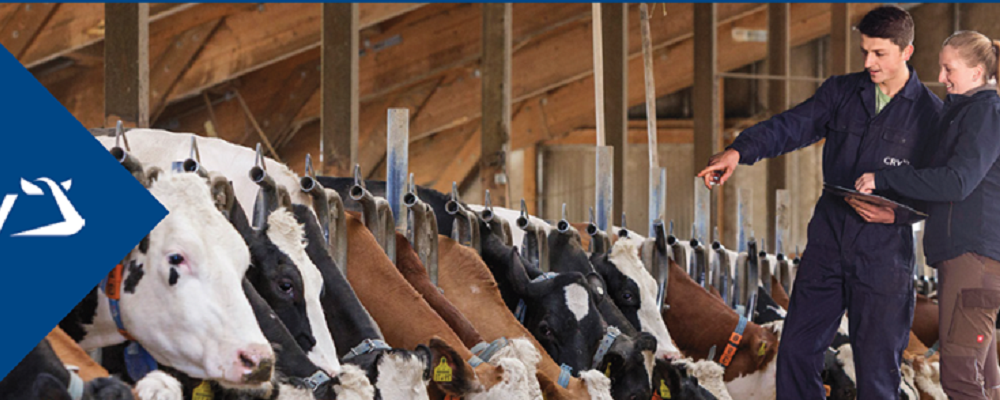 Verkaufsberater Außendienst im Bereich Rinderzucht (m/w/d)