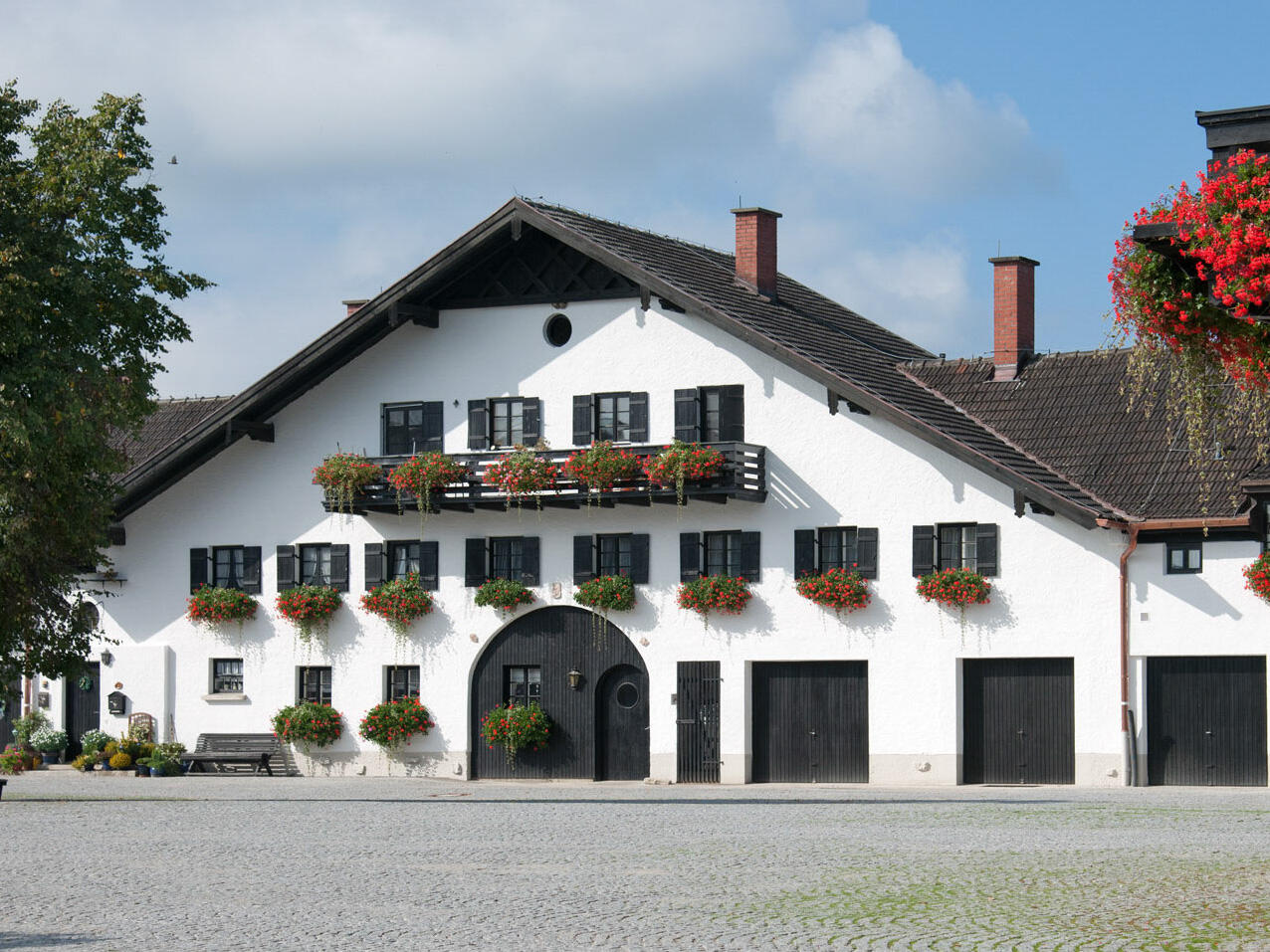 Landwirt / Meister / Techniker (m/w/d)