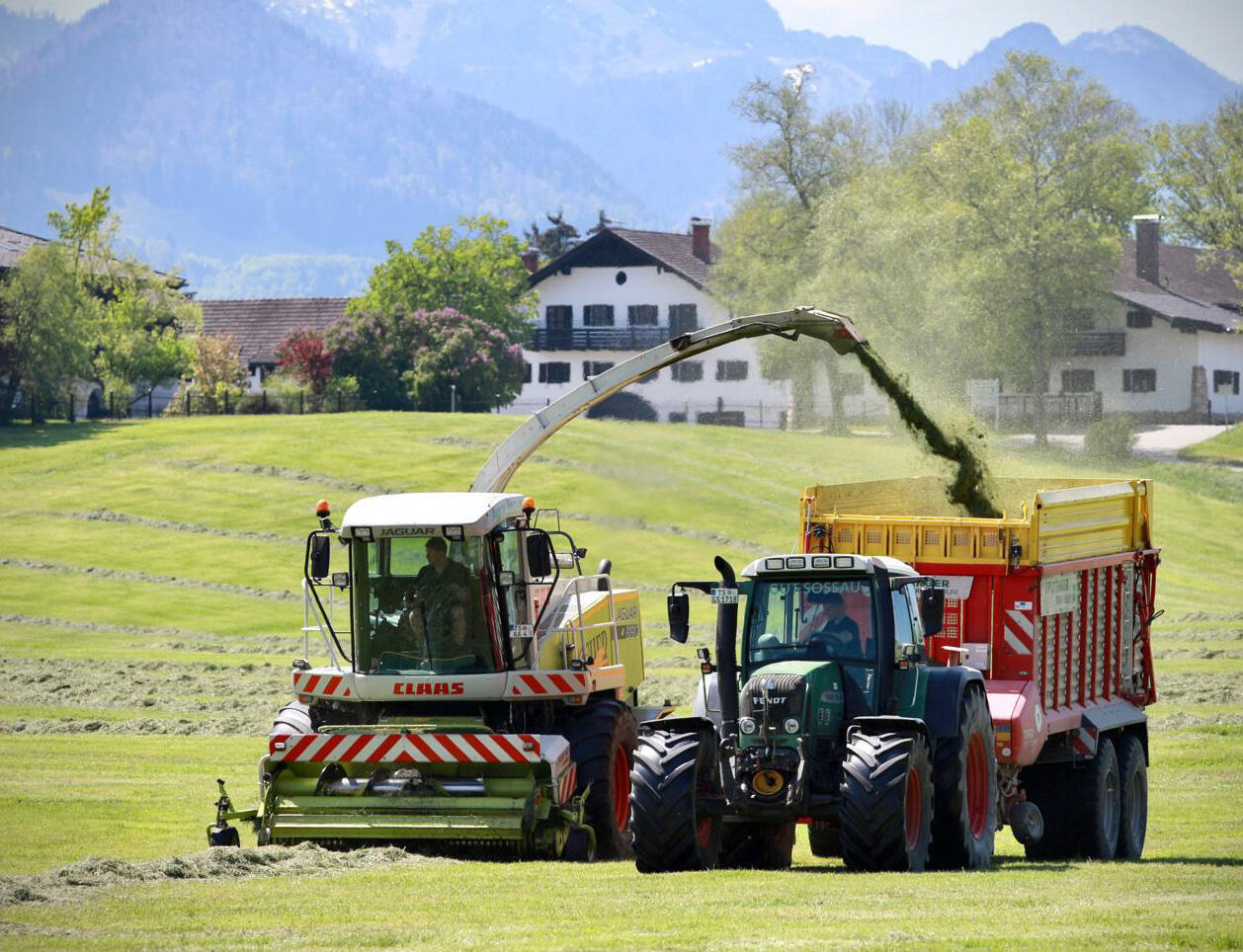 Landwirt / Meister / Techniker (m/w/d)
