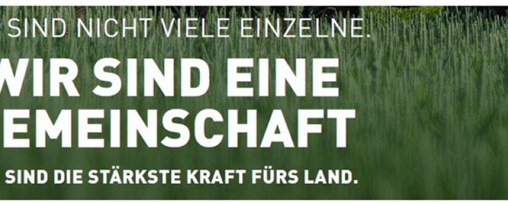 Assistent der Geschäftsführung  (m/w/d)