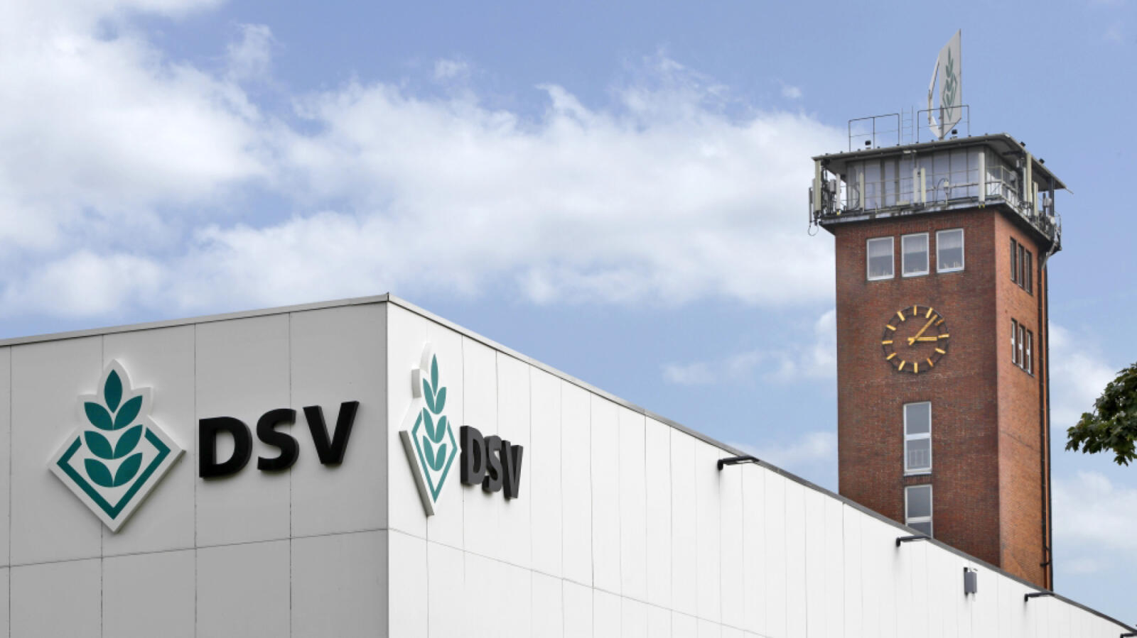 Deutsche Saatveredelung AG (DSV)