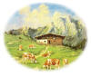 Almwirtschaftlicher Verein Oberbayern e.V.