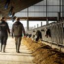 Milchviehberatung Denise Völker