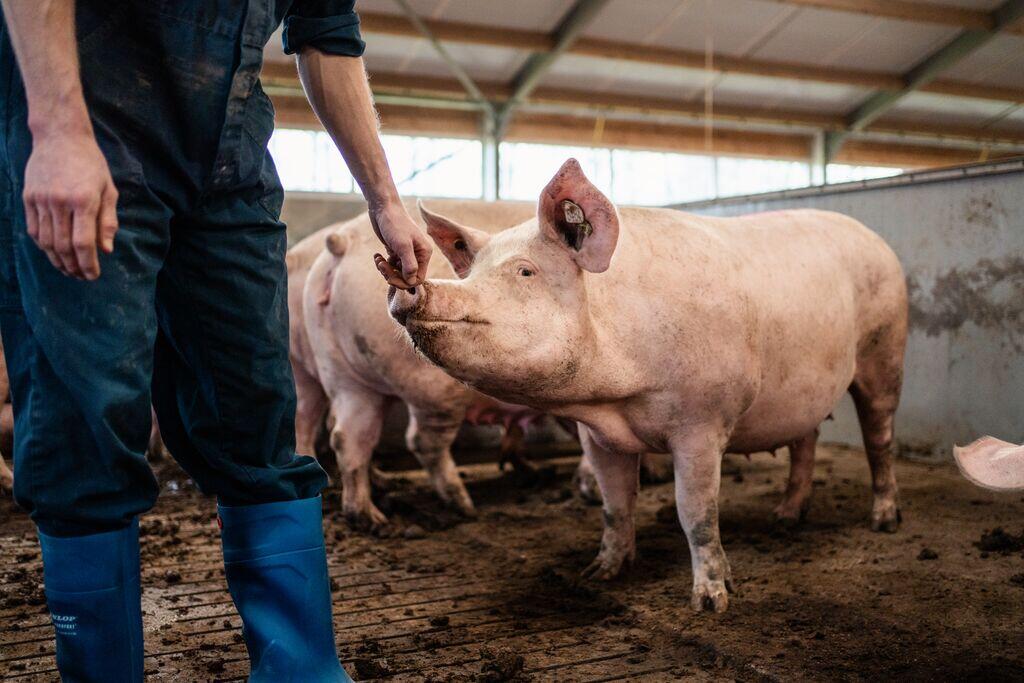 ForFarmers team agrar