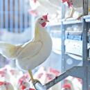 ForFarmers team agrar