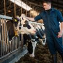 ForFarmers team agrar