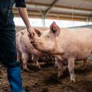 ForFarmers team agrar