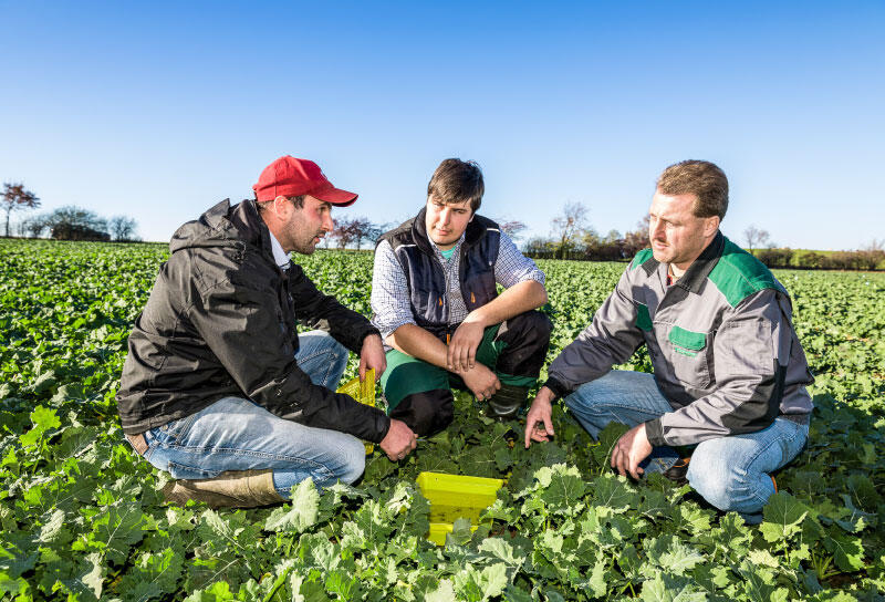 Limagrain GmbH