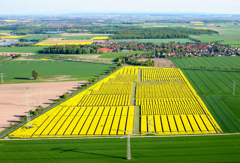 Limagrain GmbH