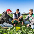 Limagrain GmbH