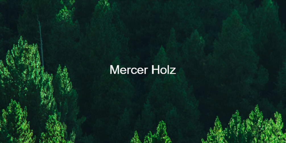 Mercer Holz GmbH