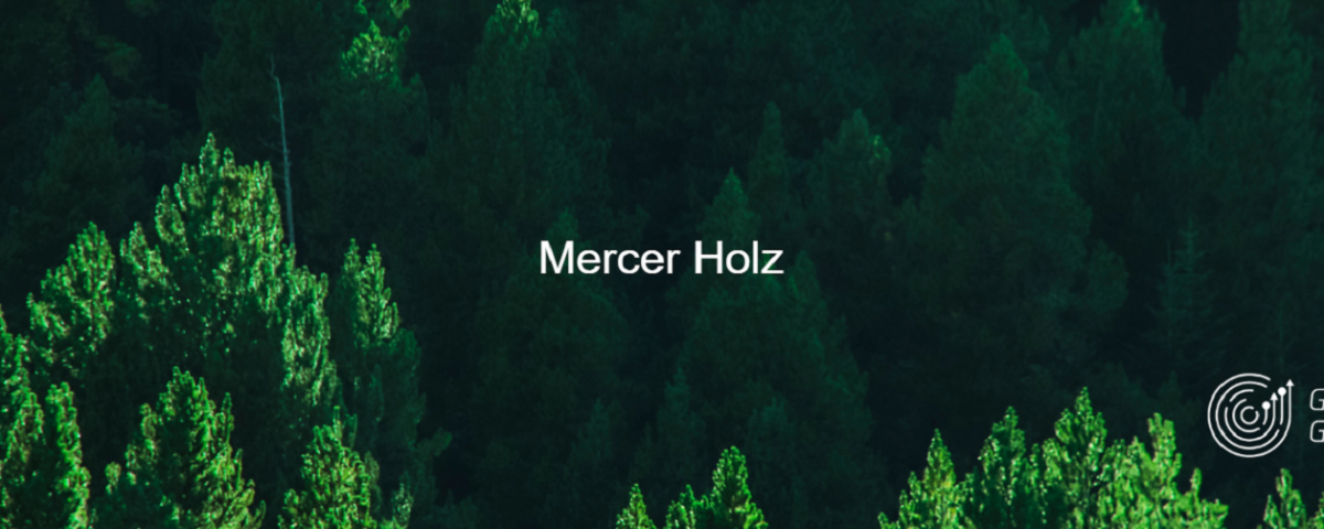 Mercer Holz GmbH