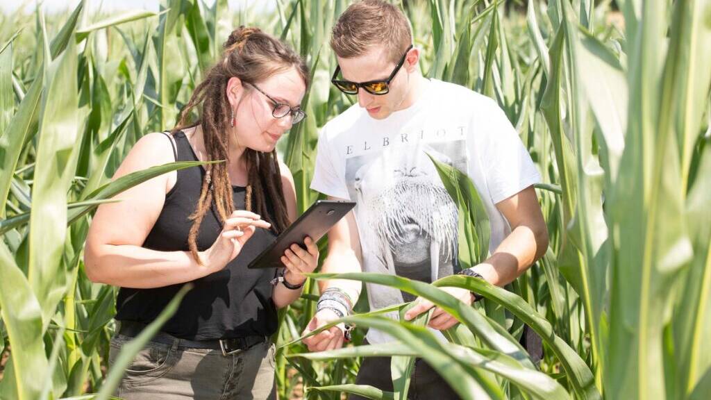 Spezialisierung in Agrartechnik: Darum lohnt sich das Studium Precision Farming