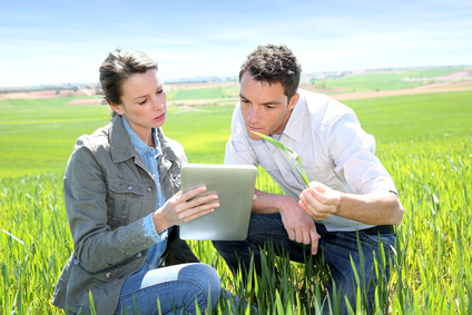 Ein Mann und eine Frau knien in einem Getreidebestand. Sie schauen beide auf ein Tablet, der Mann hält ein Getreidegras in der Hand.