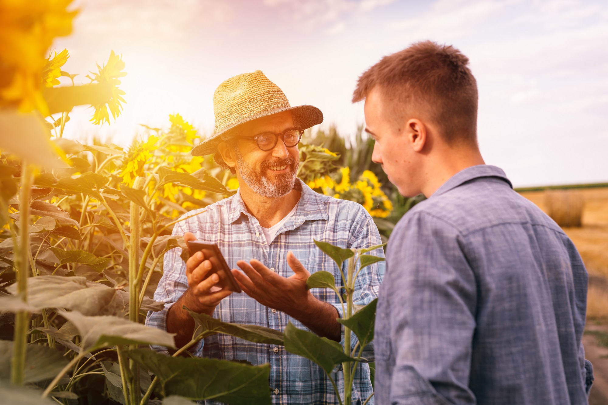 Weiterbildung für Landwirtinnen und Landwirte – Agrarbetriebswirt