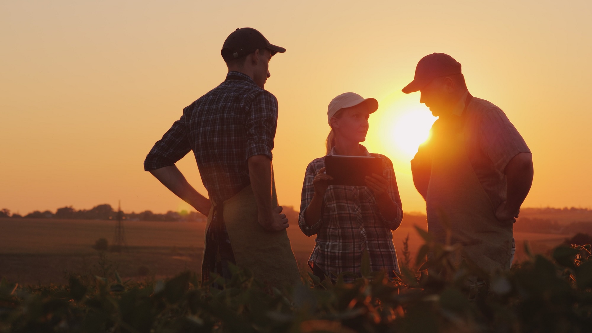 Weiterbildung für Landwirtinnen und Landwirte – Agrarbetriebswirt