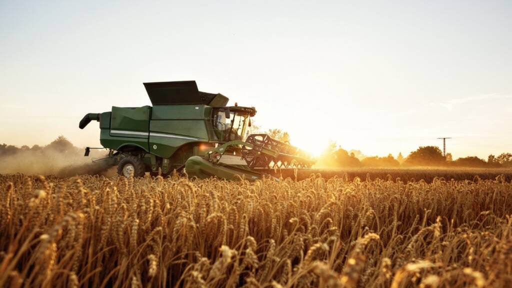 Ernteausfälle und ihre Auswirkungen auf die weltweite Ernährung