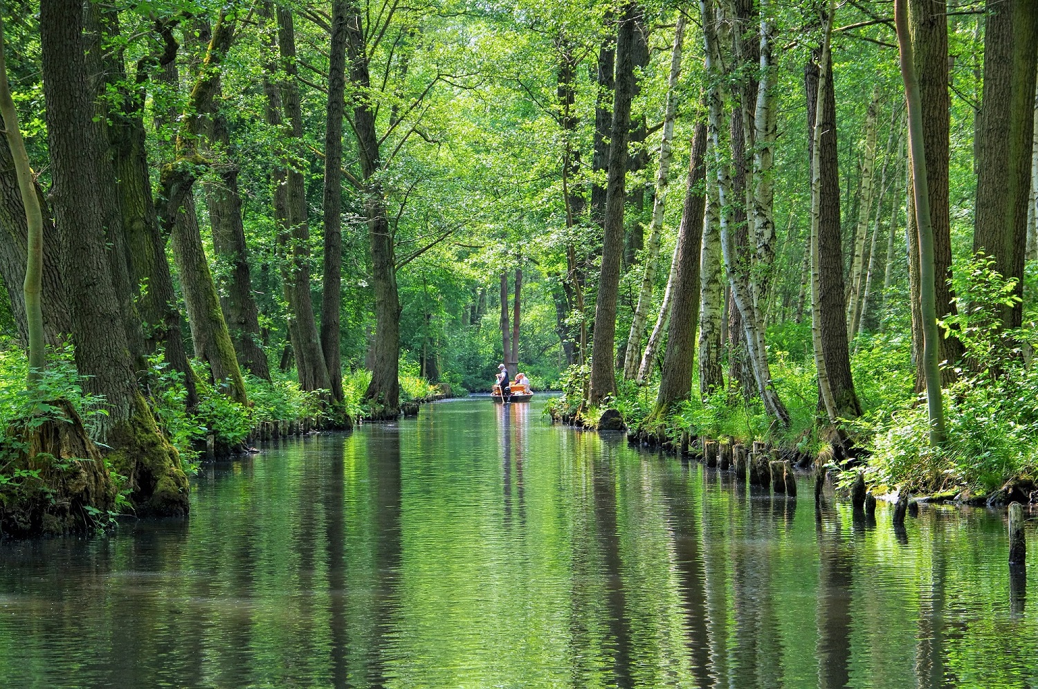 agrajo.com Hochschule Eberswalde Brandenburger Spreewald